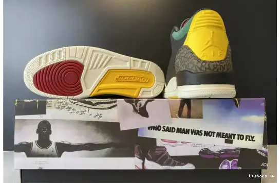 CV3583-003 Jordan Instinct Animal SE Retro CV3583-003 3 Air 2.0 0414